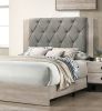 Contemporary 1pc Cream Finish Queen Size Bed Bedroom Furniture Gray Tufted Design Headboard Rubberwood 1pc Bedframe